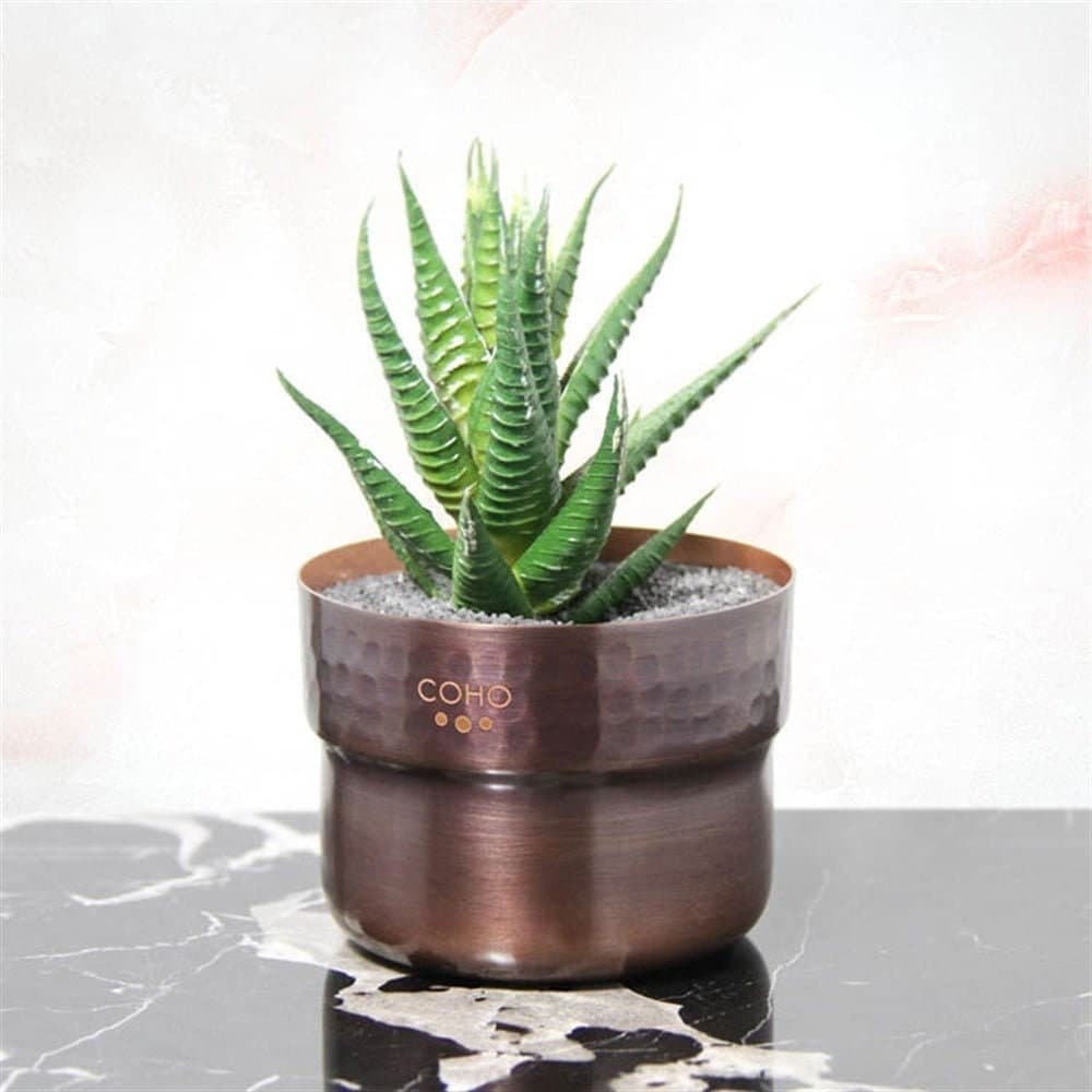 Antique Succulent Pot