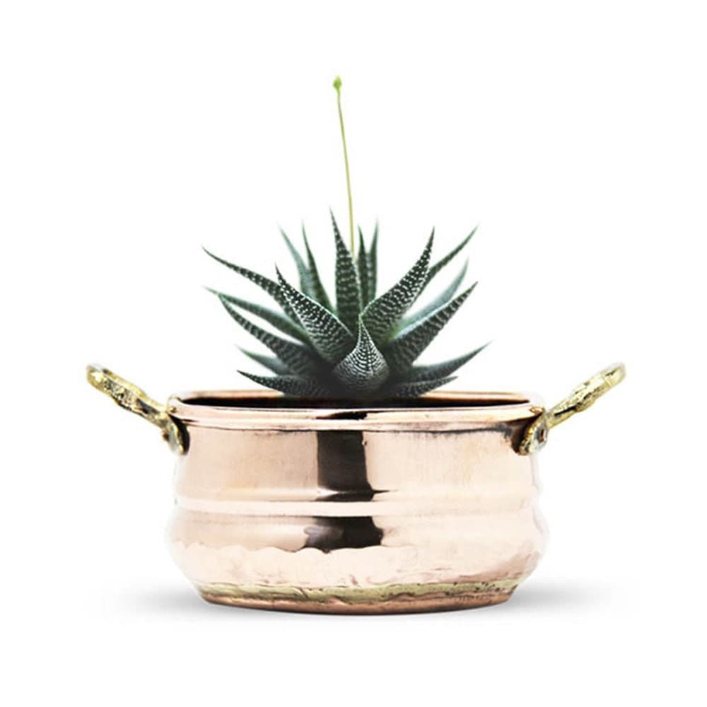 Copper Planter